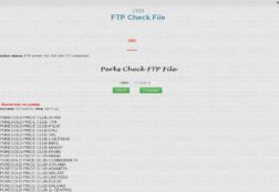 FTP Check File